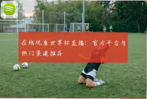 直播世界杯在线观看官方渠道推荐